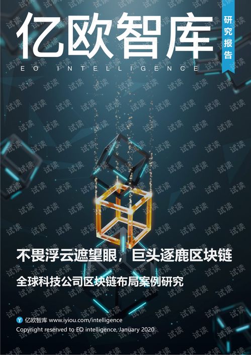 不畏浮云遮望眼 全球科技巨頭區(qū)塊鏈布局案例研究